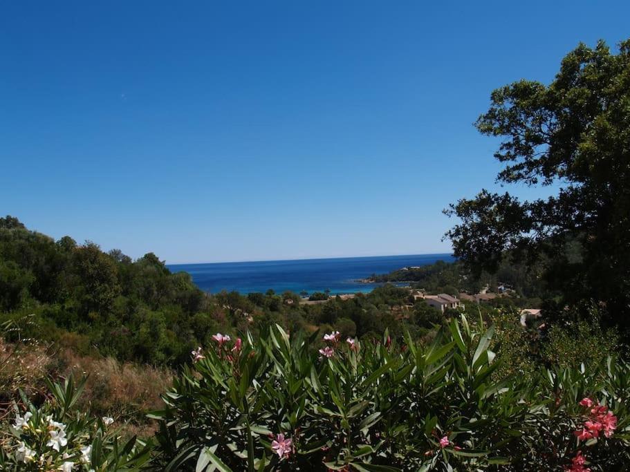 Villa Vista Mare 11 Favone Conca Εξωτερικό φωτογραφία