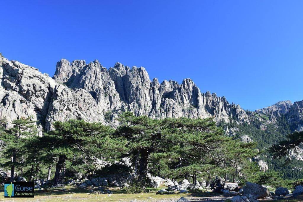 Villa Vista Mare 11 Favone Conca Εξωτερικό φωτογραφία
